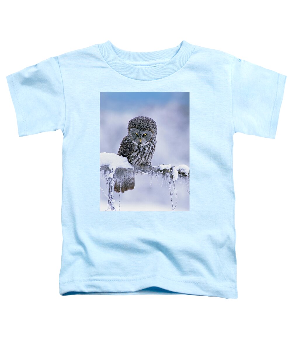 00586269 Toddler T-Shirt featuring the photograph Great Gray Owl In Winter, North America by Tim Fitzharris