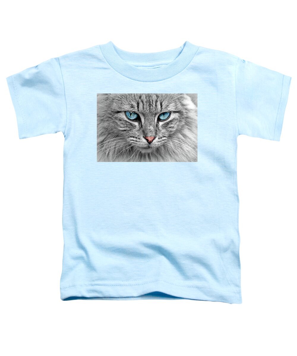 Cat Toddler T-Shirt featuring the photograph Grey cat with blue eyes by Top Wallpapers