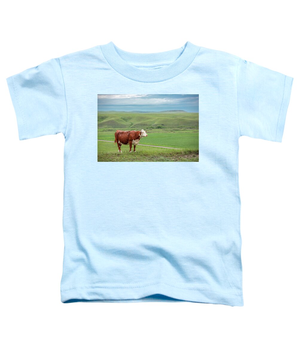 Hereford Toddler T-Shirt featuring the photograph Hereford Hill by Todd Klassy