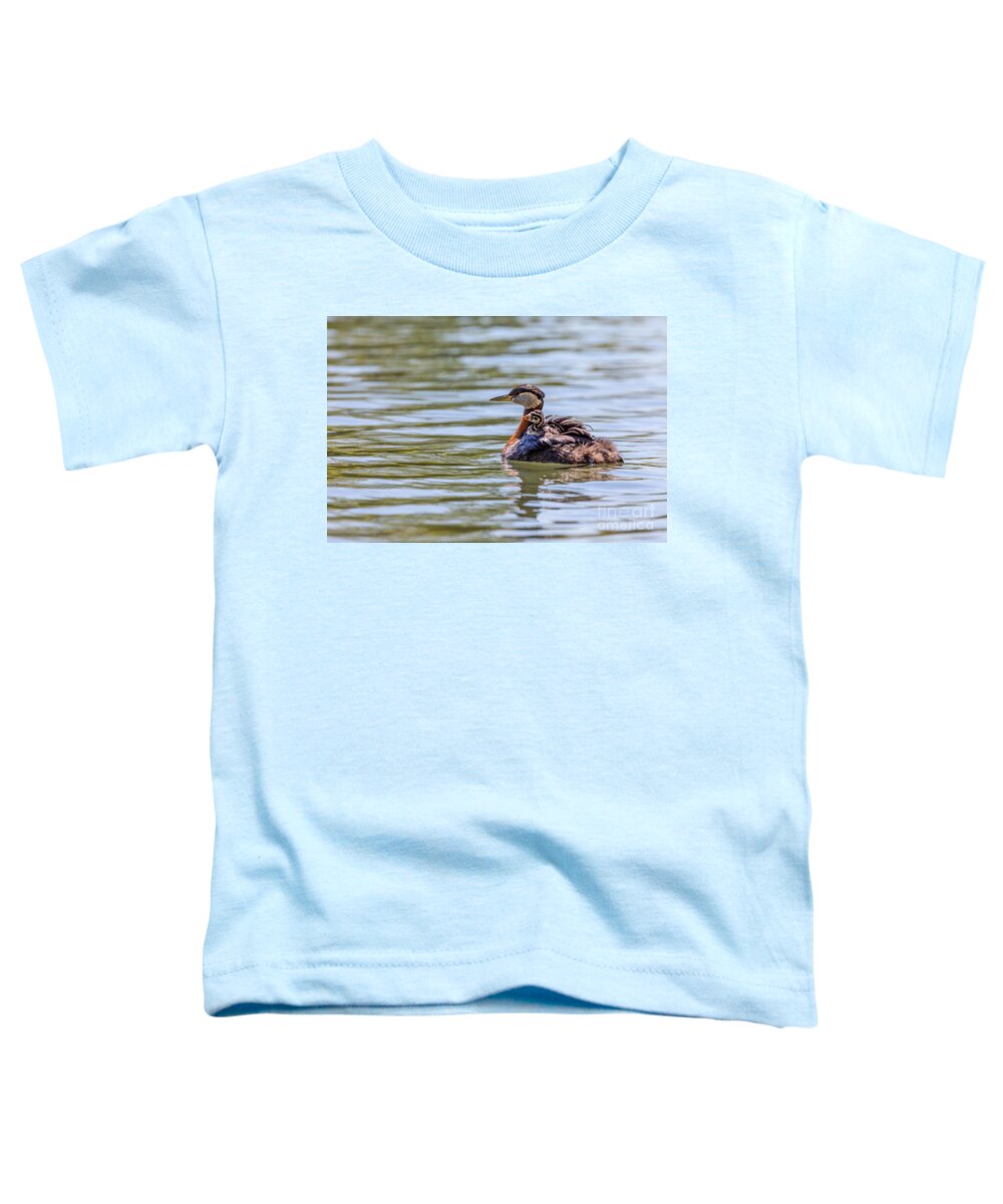 Photography Toddler T-Shirt featuring the photograph Hitchhiker Grebe Chick by Alma Danison