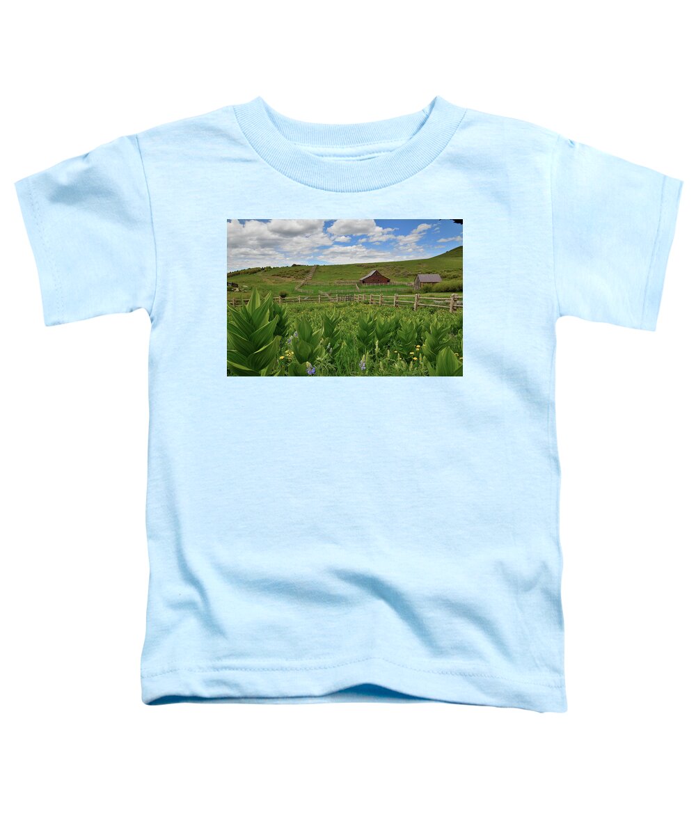 Colorado Toddler T-Shirt featuring the photograph Last Dollar Road Ranch Scene by Ray Mathis