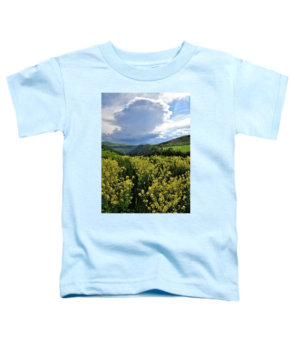 Colorado Toddler T-Shirt featuring the photograph Last Dollar Road Scene West of Telluride by Ray Mathis