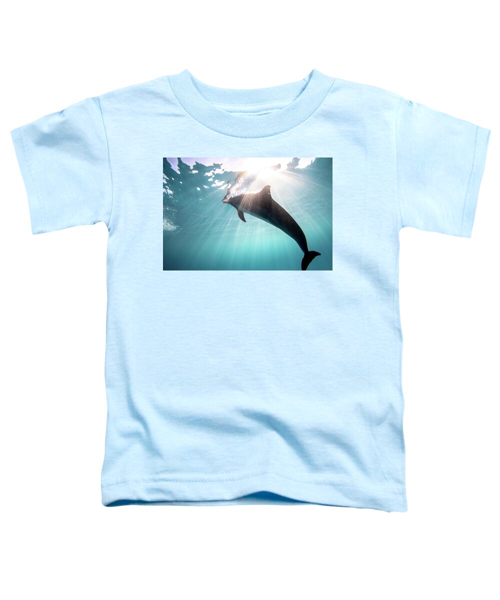Dolphin Toddler T-Shirt featuring the photograph Light Chaser by Kelly Sakai