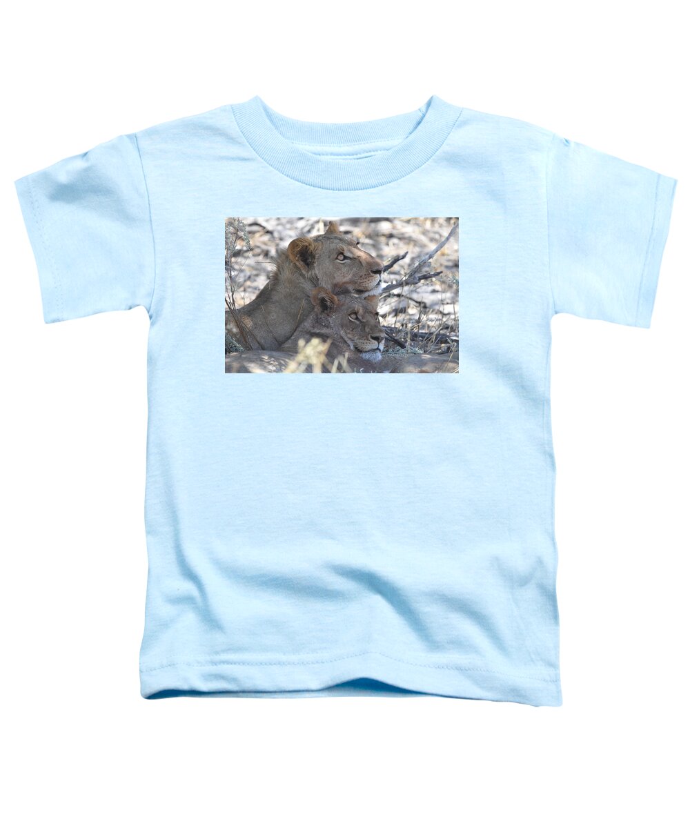 Lion Toddler T-Shirt featuring the photograph Lion Pair by Ben Foster