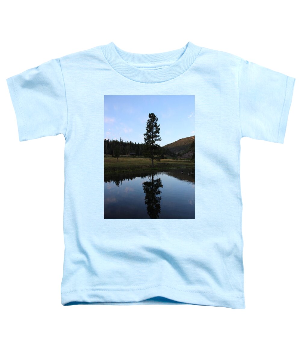 Lone Tree Toddler T-Shirt featuring the photograph Lone Tree on Lake by FD Graham