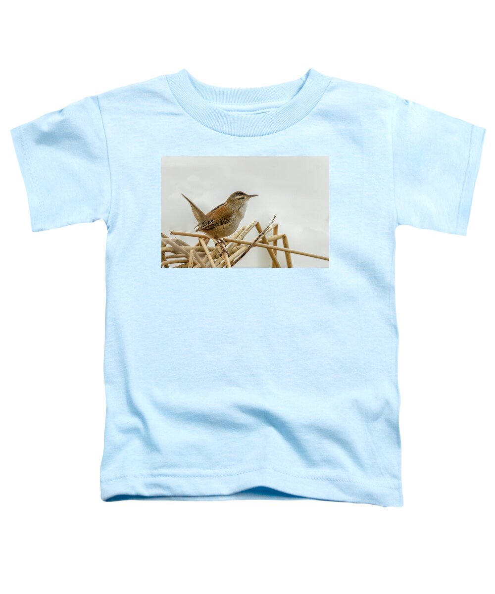 Wren Toddler T-Shirt featuring the photograph Marsh Wren by Ronnie And Frances Howard