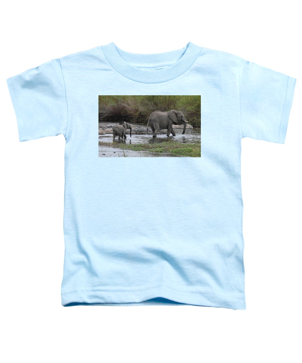 Elephant Toddler T-Shirt featuring the photograph Following Mom by Ben Foster