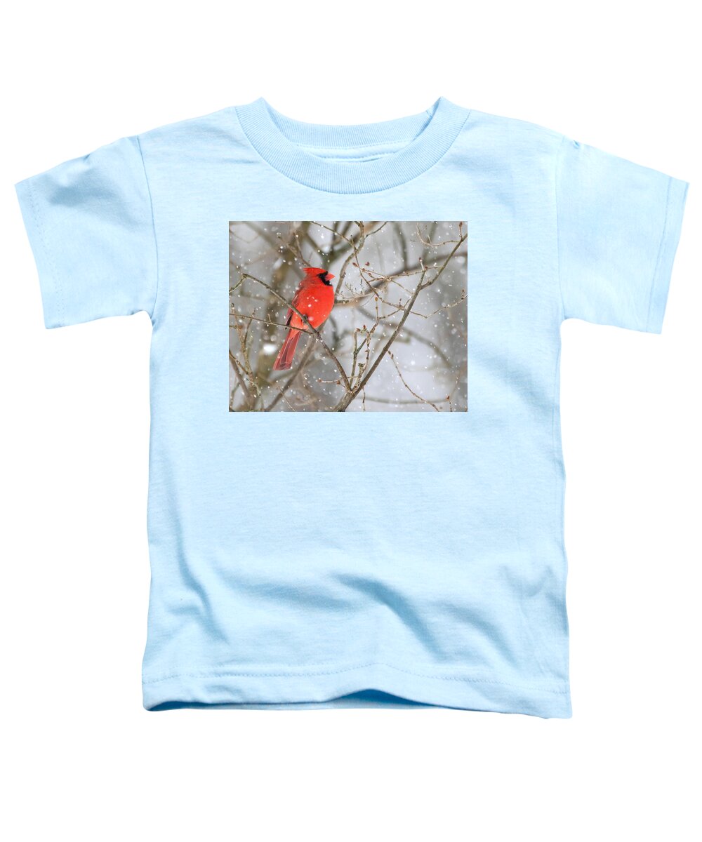 Cardinal Toddler T-Shirt featuring the photograph Northern Cardinal in Snow #1 by Mindy Musick King