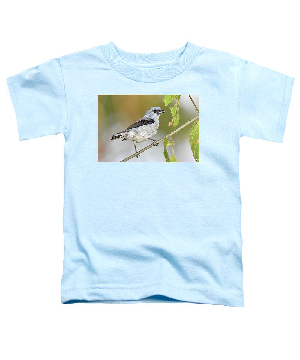 Bird Toddler T-Shirt featuring the photograph Plain-colored Tanager by Alan Lenk