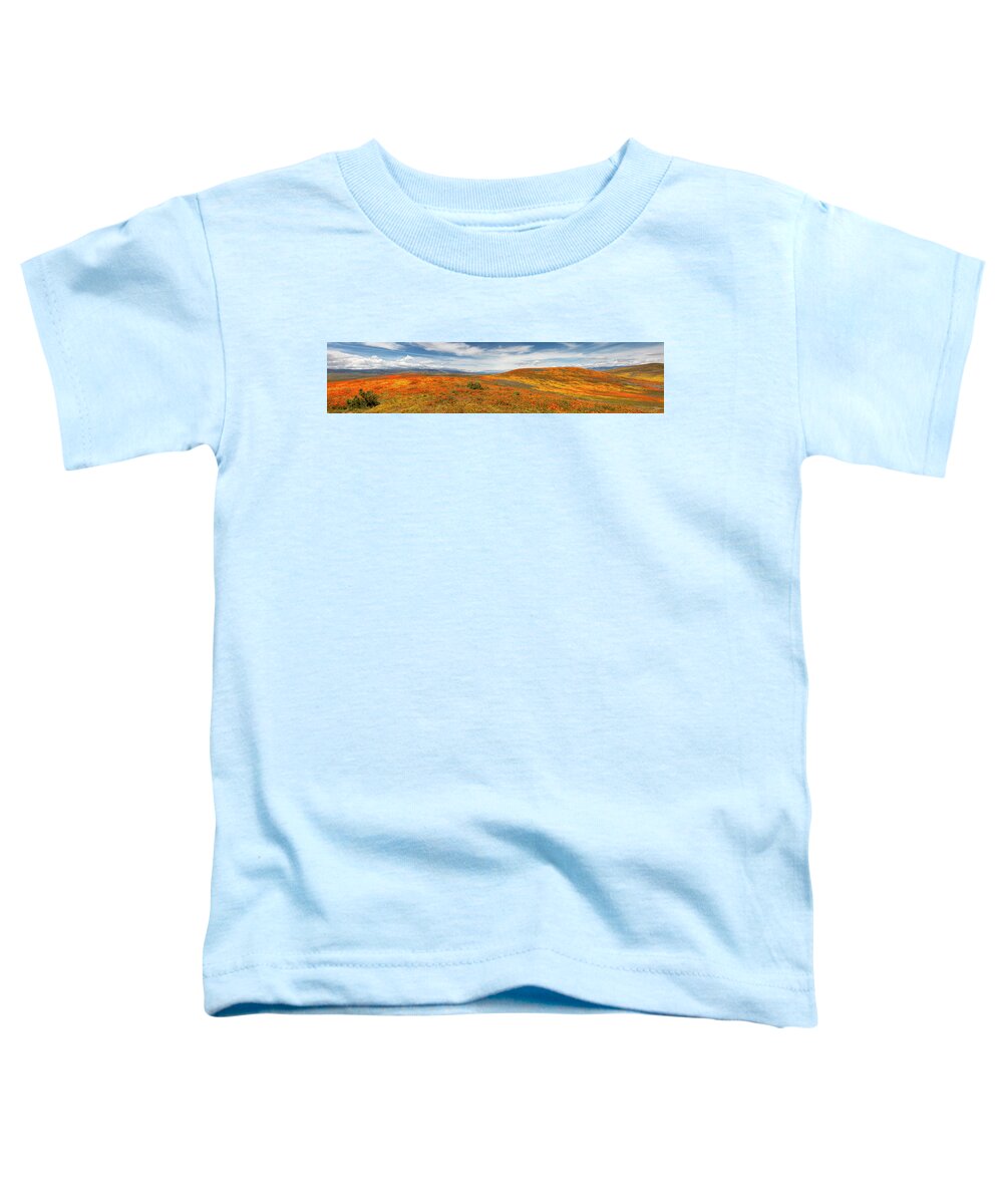 Antelope Valley Poppy Reserve Toddler T-Shirt featuring the photograph Poppy Reserve Panorama 1 by Endre Balogh