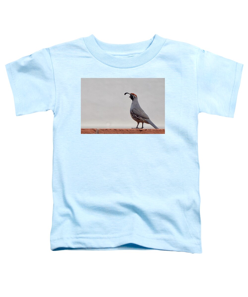 Quail Toddler T-Shirt featuring the photograph Proud Quail by Chance Kafka