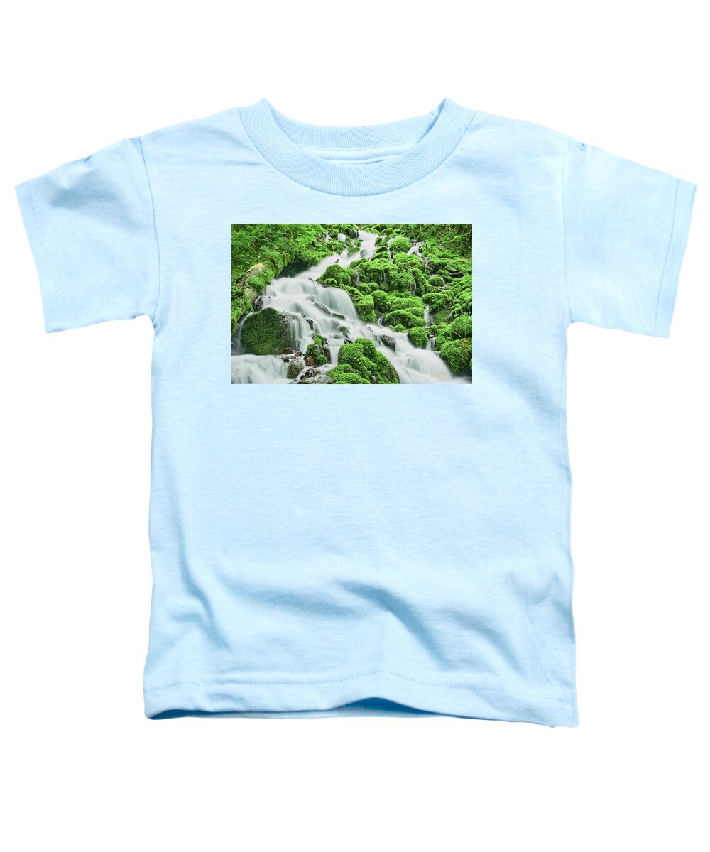Robin Toddler T-Shirt featuring the photograph Robin's Moment by Dan McGeorge