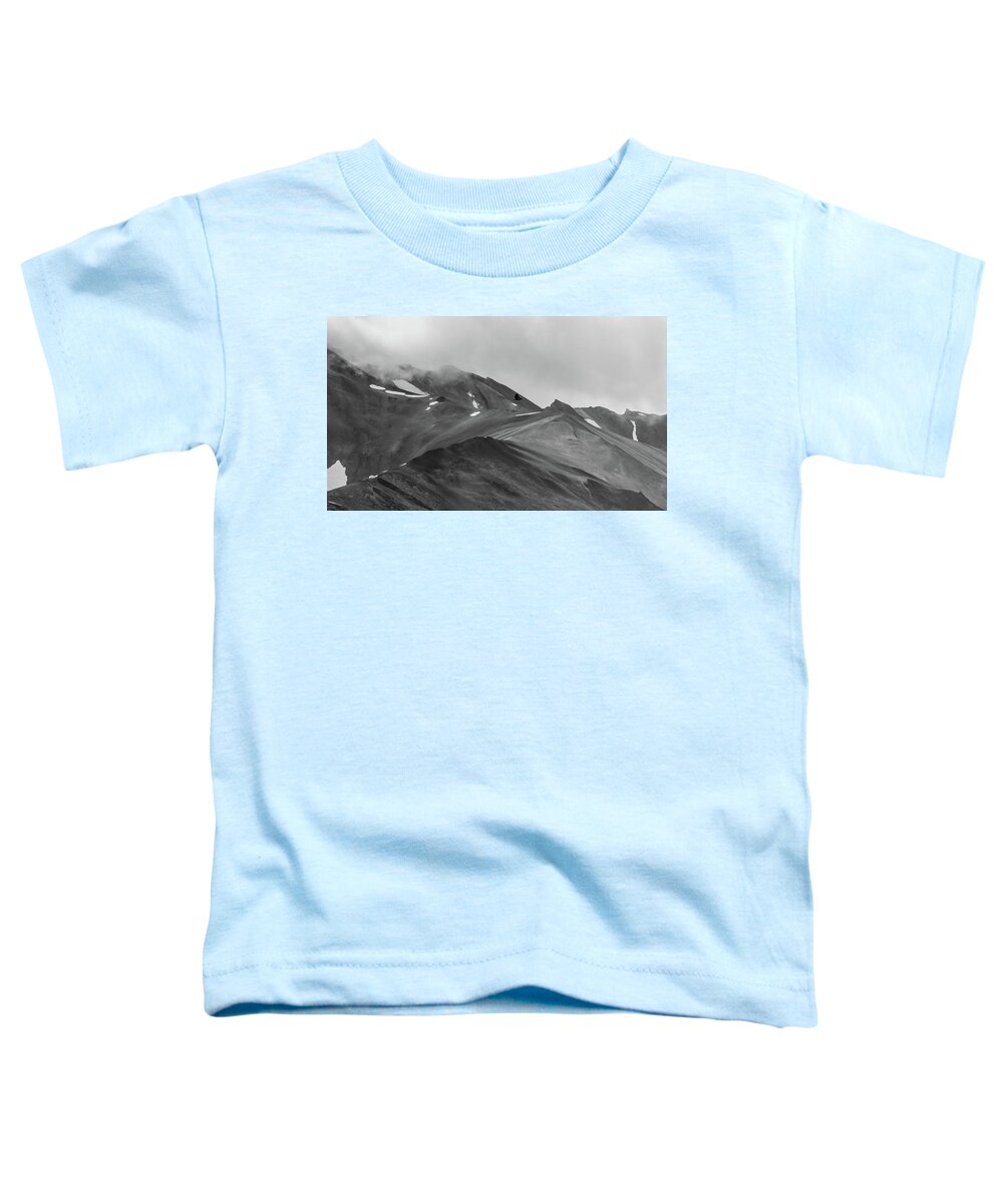 Alaska Toddler T-Shirt featuring the photograph Soaring High in Denali by Marcy Wielfaert