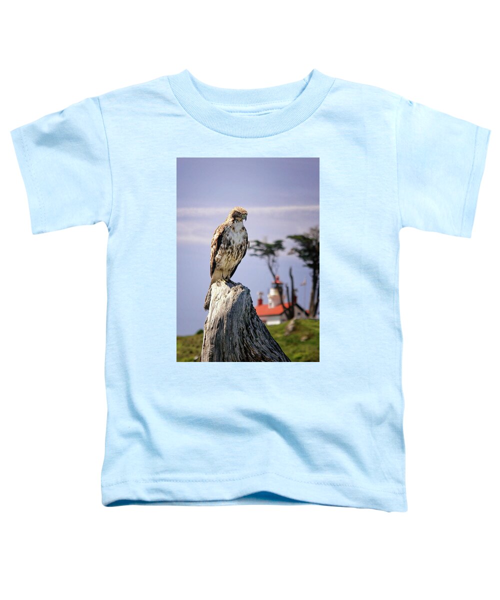 Red Tail Hawk Toddler T-Shirt featuring the photograph Standing Watch by Betty Depee