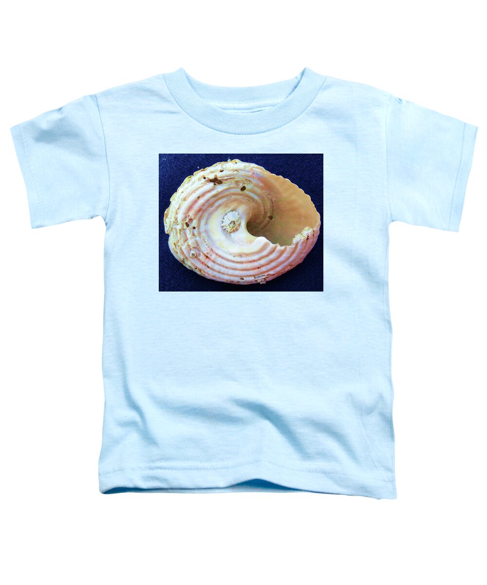 Shell Toddler T-Shirt featuring the photograph Swirl by Fred Bailey