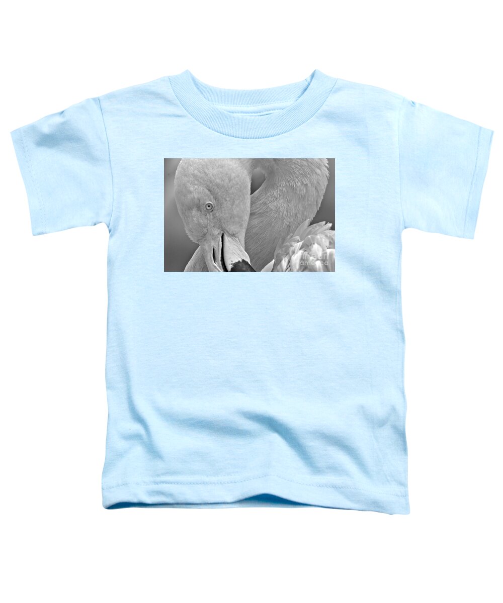 Flamingo Toddler T-Shirt featuring the photograph The Flamingo Pose Black And White by Adam Jewell