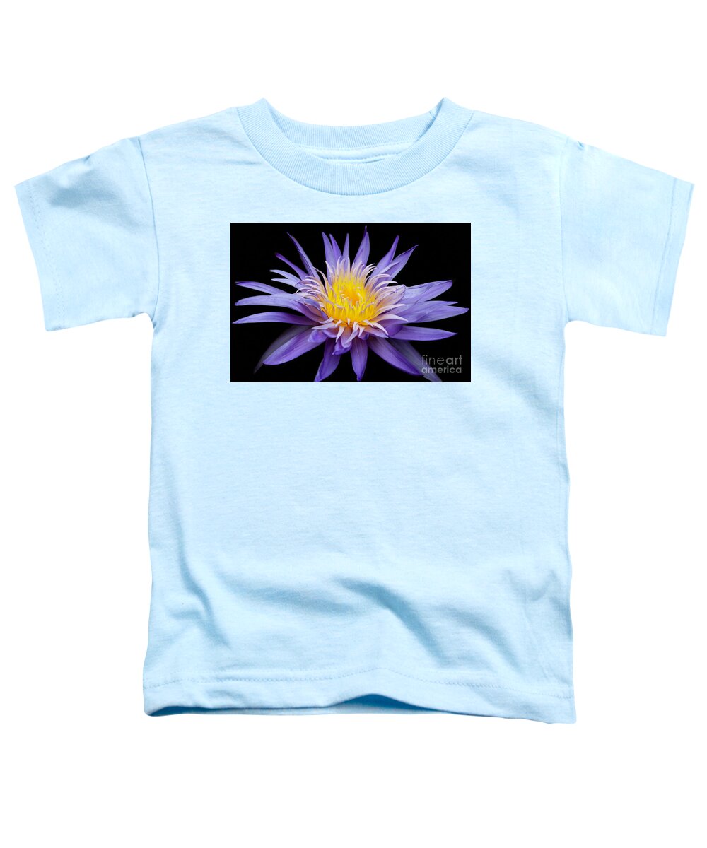 Spring Toddler T-Shirt featuring the photograph Water Lily Spiky and Purple by Sabrina L Ryan