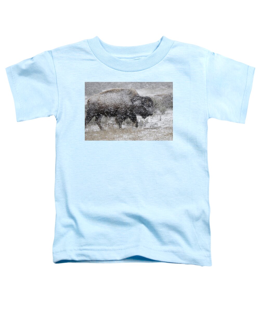Yellowstone Toddler T-Shirt featuring the photograph Yellowstone winter bison by C Ribet