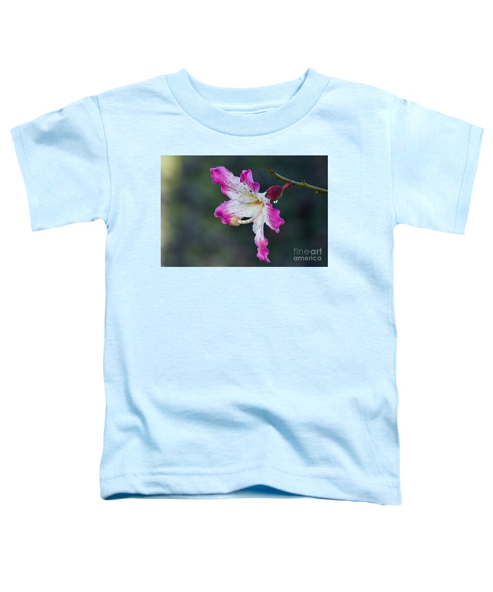 Photography Toddler T-Shirt featuring the photograph Floss-silk Blossom #2 by Sean Griffin