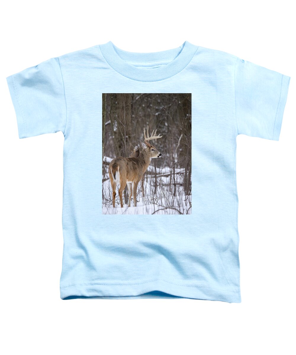 Whitetail Toddler T-Shirt featuring the photograph Whitetail Buck #20 by Brook Burling