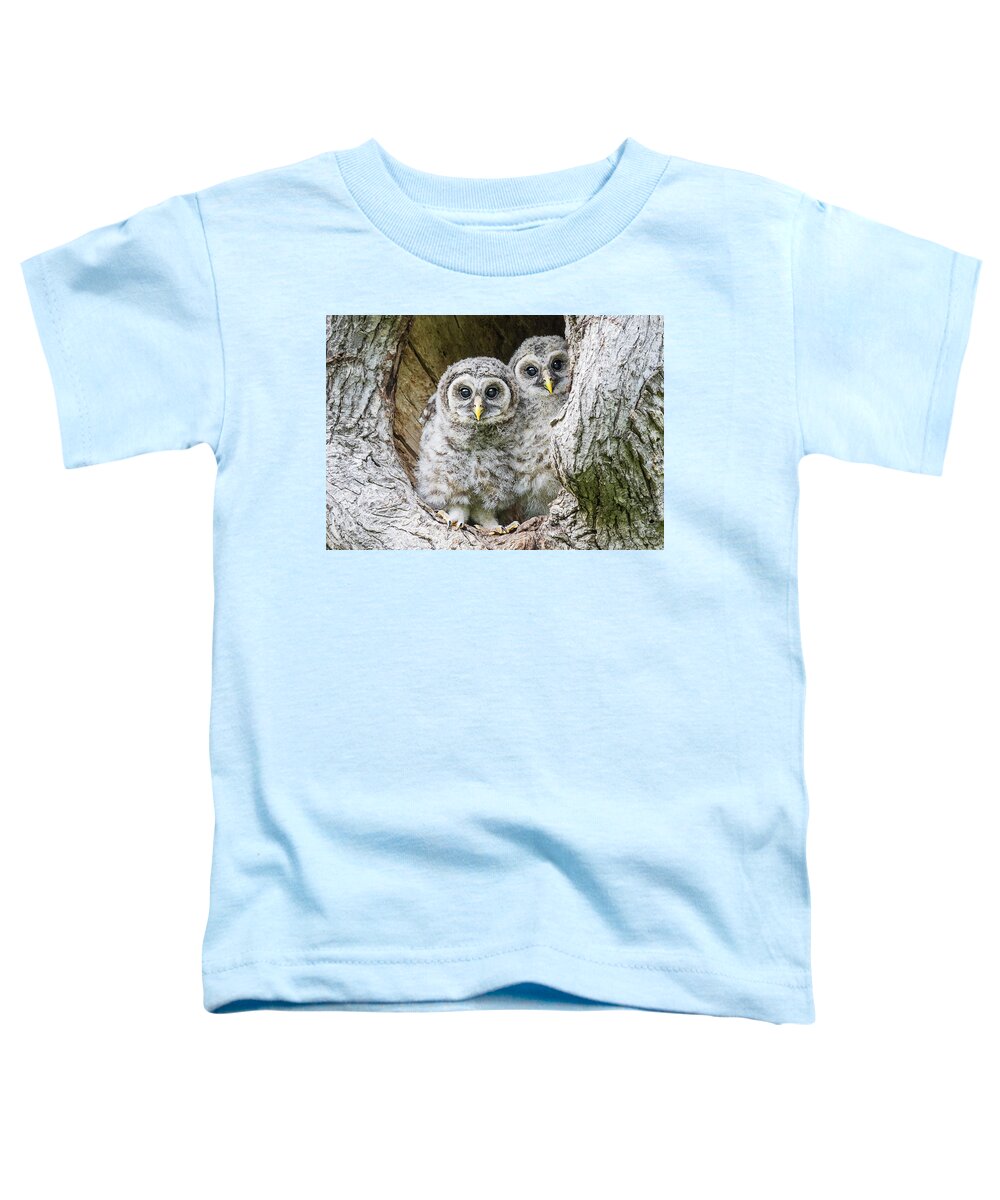 Baby Barred Owls Toddler T-Shirt featuring the photograph Eyes Tell the Story by Puttaswamy Ravishankar
