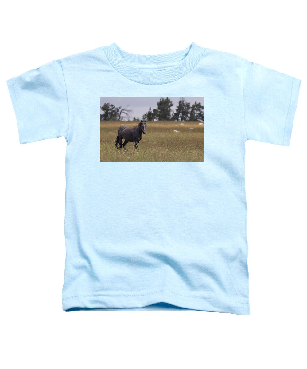 Horse Toddler T-Shirt featuring the photograph Stallion #6 by Laura Terriere