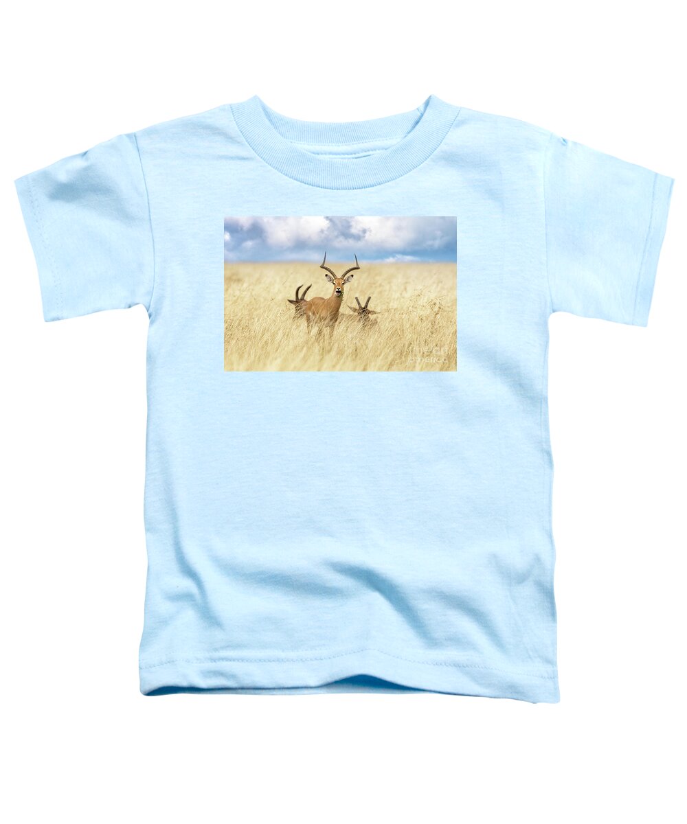 Impala Toddler T-Shirt featuring the photograph A male impala, aepyceros melampus, and two topi, damaliscus luna by Jane Rix