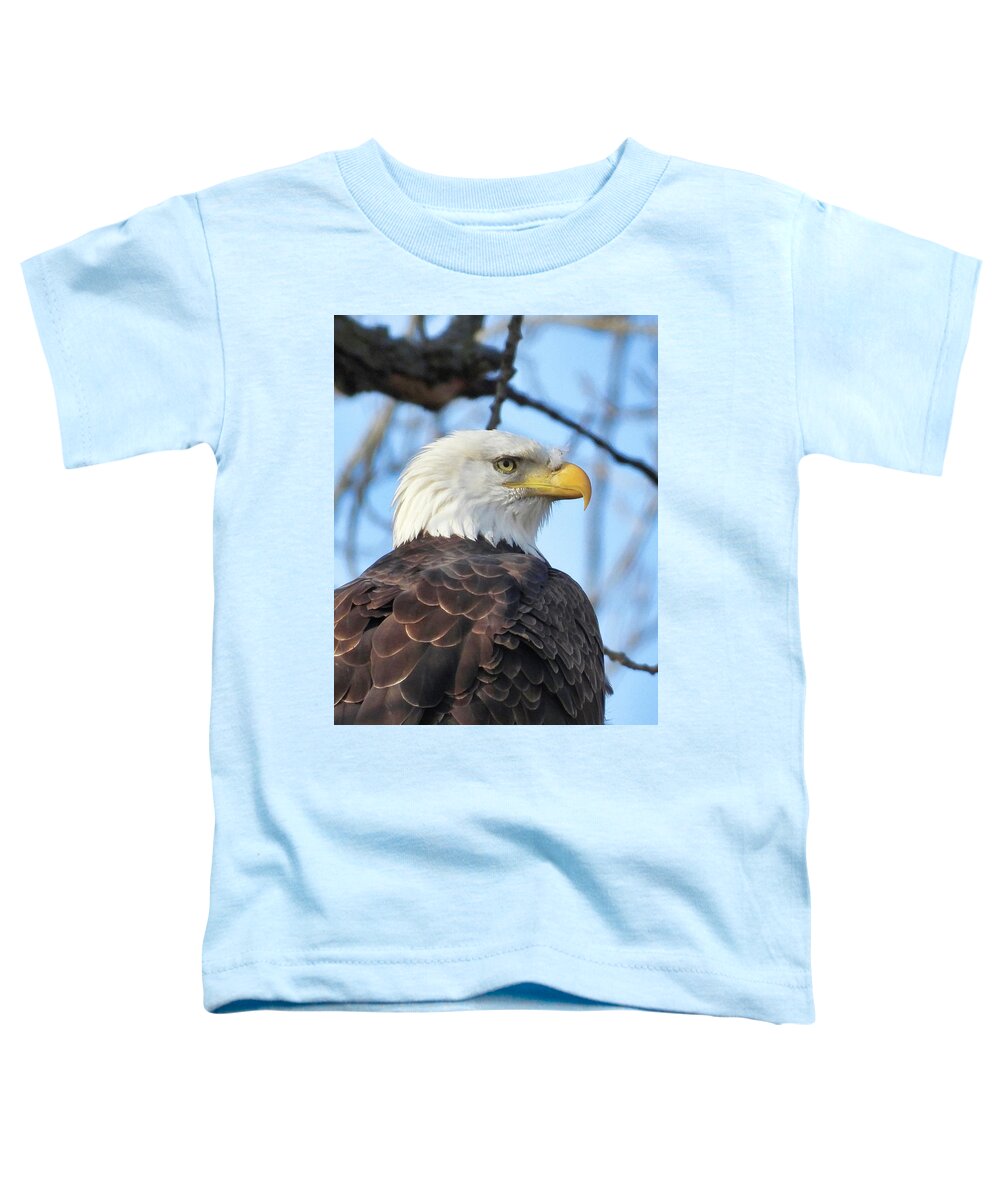 American Bald Eagle Toddler T-Shirt featuring the photograph Always Alert by Jack Wilson