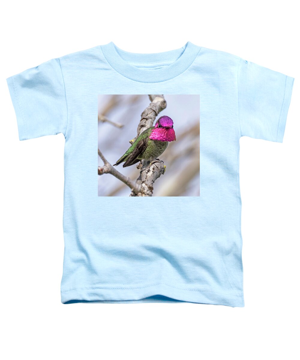 Hummingbird Toddler T-Shirt featuring the photograph Anna's Hummingbird #3 by Carla Brennan