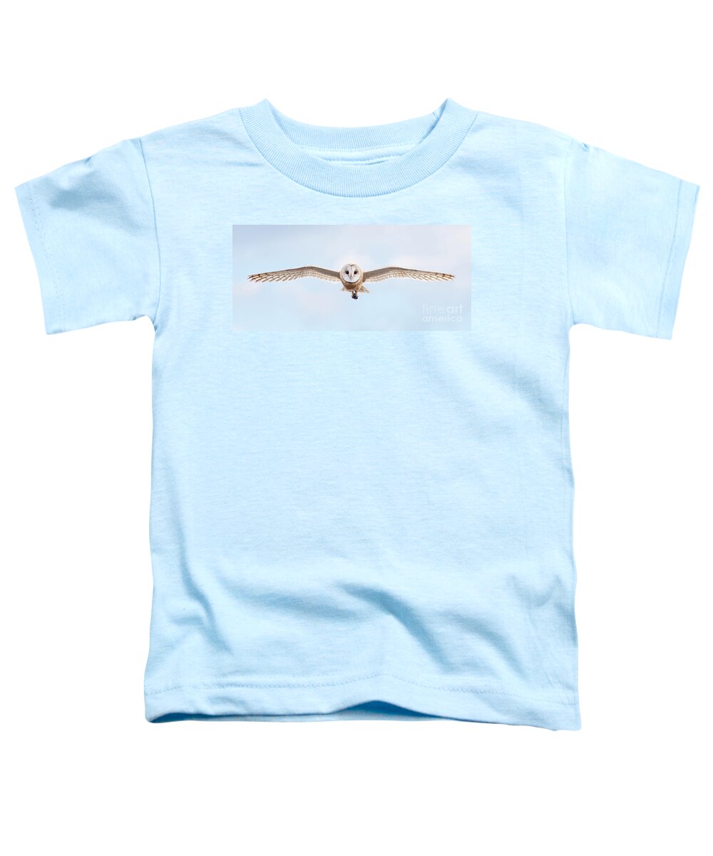 Animal Toddler T-Shirt featuring the photograph Approach by Alice Cahill