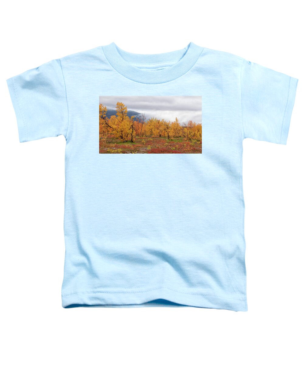 Trees Toddler T-Shirt featuring the photograph Autumn in Lapland by Uri Baruch