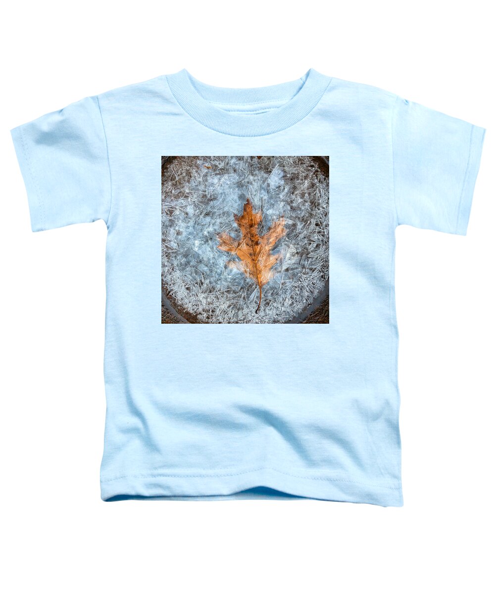 Autumn Toddler T-Shirt featuring the photograph Autumn Leaf and Crackling Ice by Russel Considine