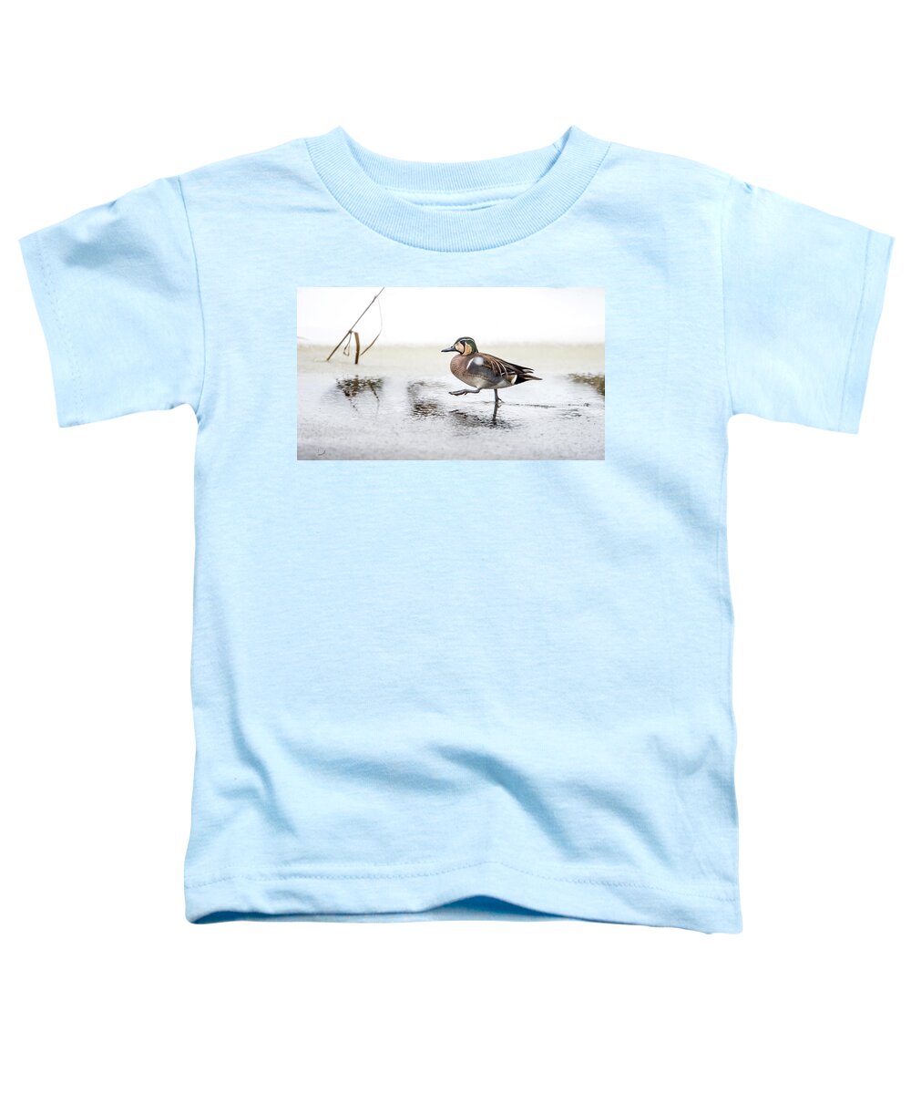 Baikal Teal Toddler T-Shirt featuring the photograph Baikal Teal, the beautiful and rare visitor in Sweden, walks wit by Torbjorn Swenelius