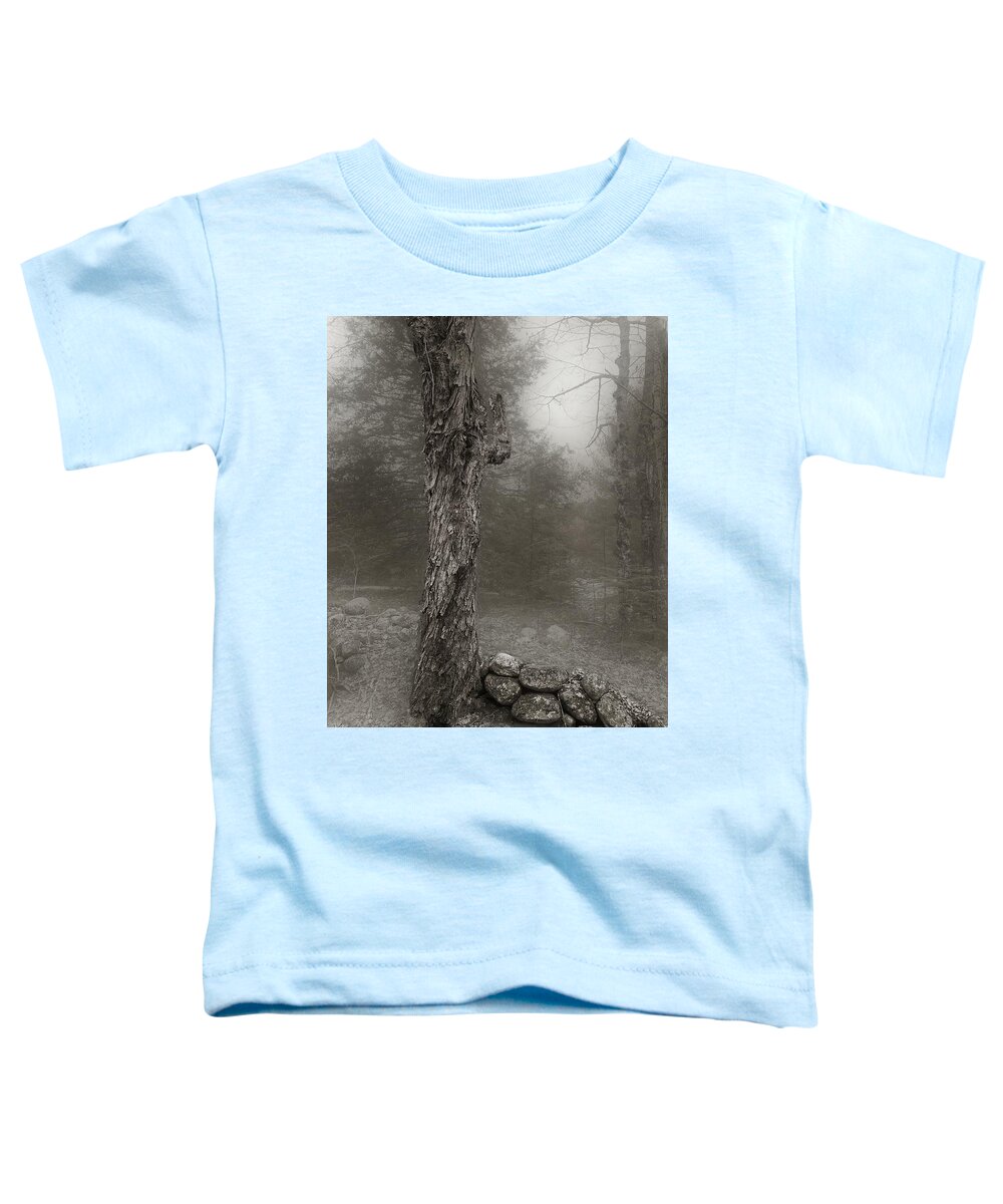 Stone Wall Toddler T-Shirt featuring the photograph Bark, Stone and Fog by Wayne King