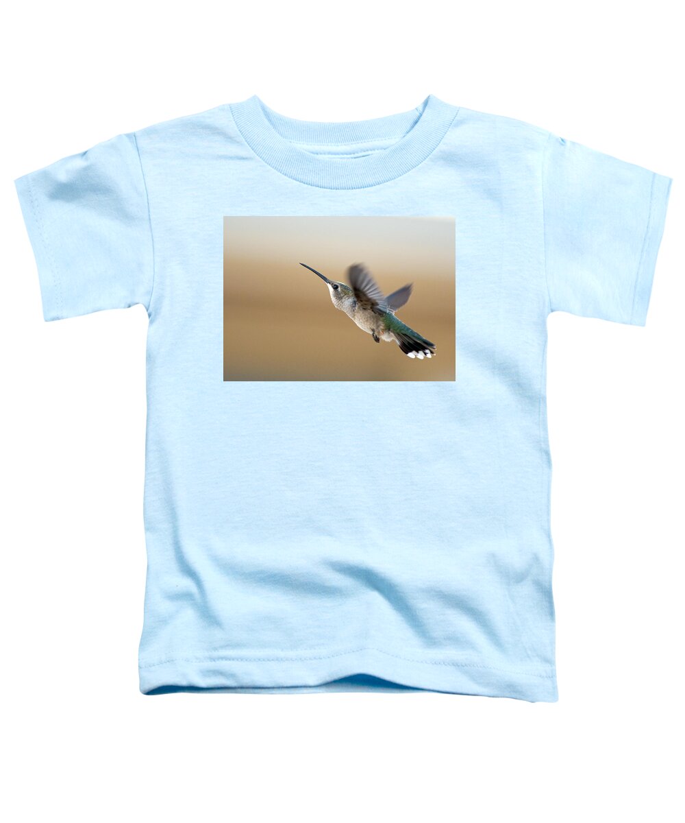 Black Chinned Hummingbird Toddler T-Shirt featuring the photograph Black Chinned Hummingbird 5 by Rick Mosher