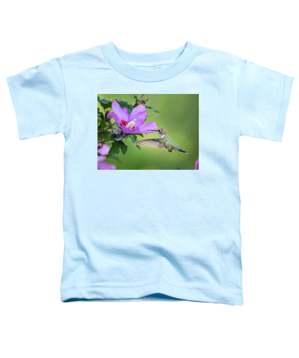 Boise Idaho Toddler T-Shirt featuring the photograph Black-Chinned Hummingbird by Mark Mille
