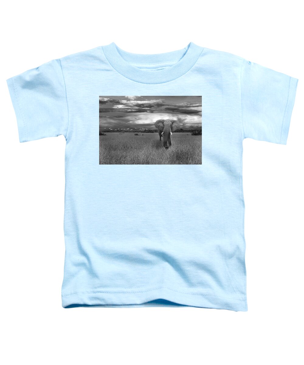 Mammal Toddler T-Shirt featuring the photograph Bull Elephant by Ed Taylor