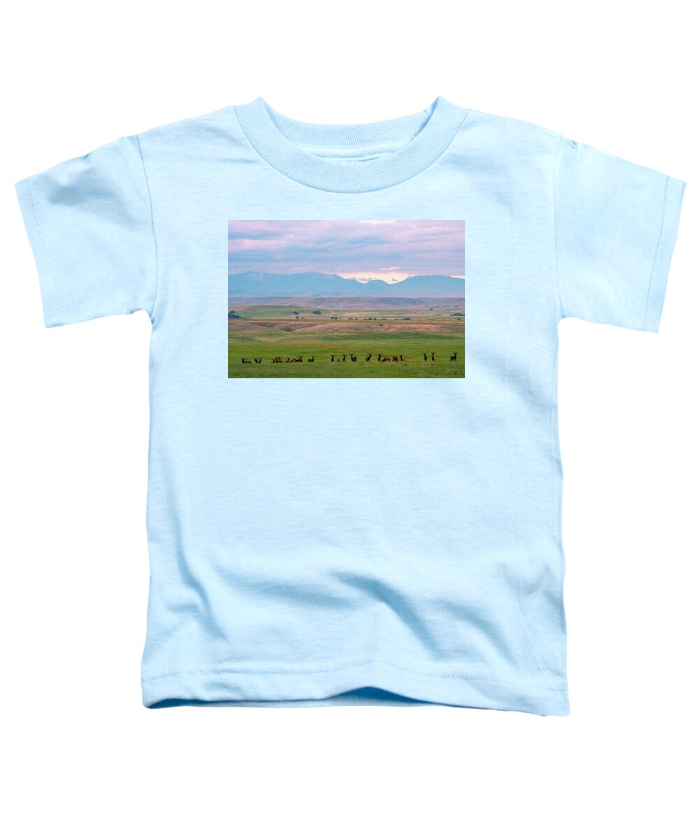 Bull Elk Toddler T-Shirt featuring the photograph Bull Elk At Siunrise by Gary Beeler