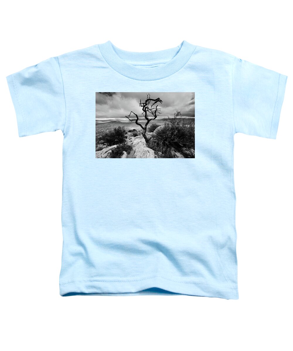 Tree Toddler T-Shirt featuring the photograph Burnt tree by Gary Browne