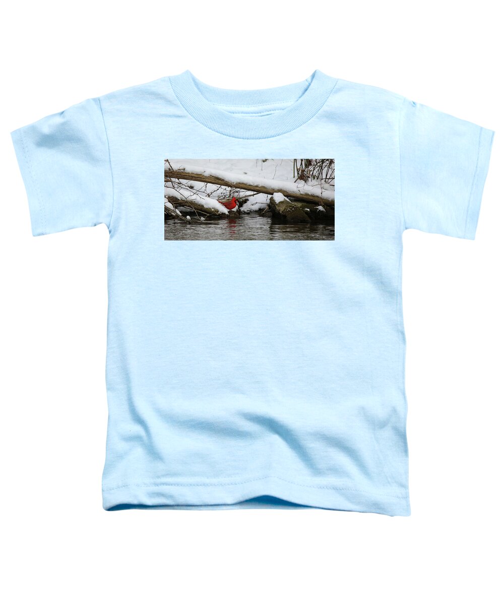 Red Color Toddler T-Shirt featuring the photograph Cardinal Red Reflection by Scott Burd