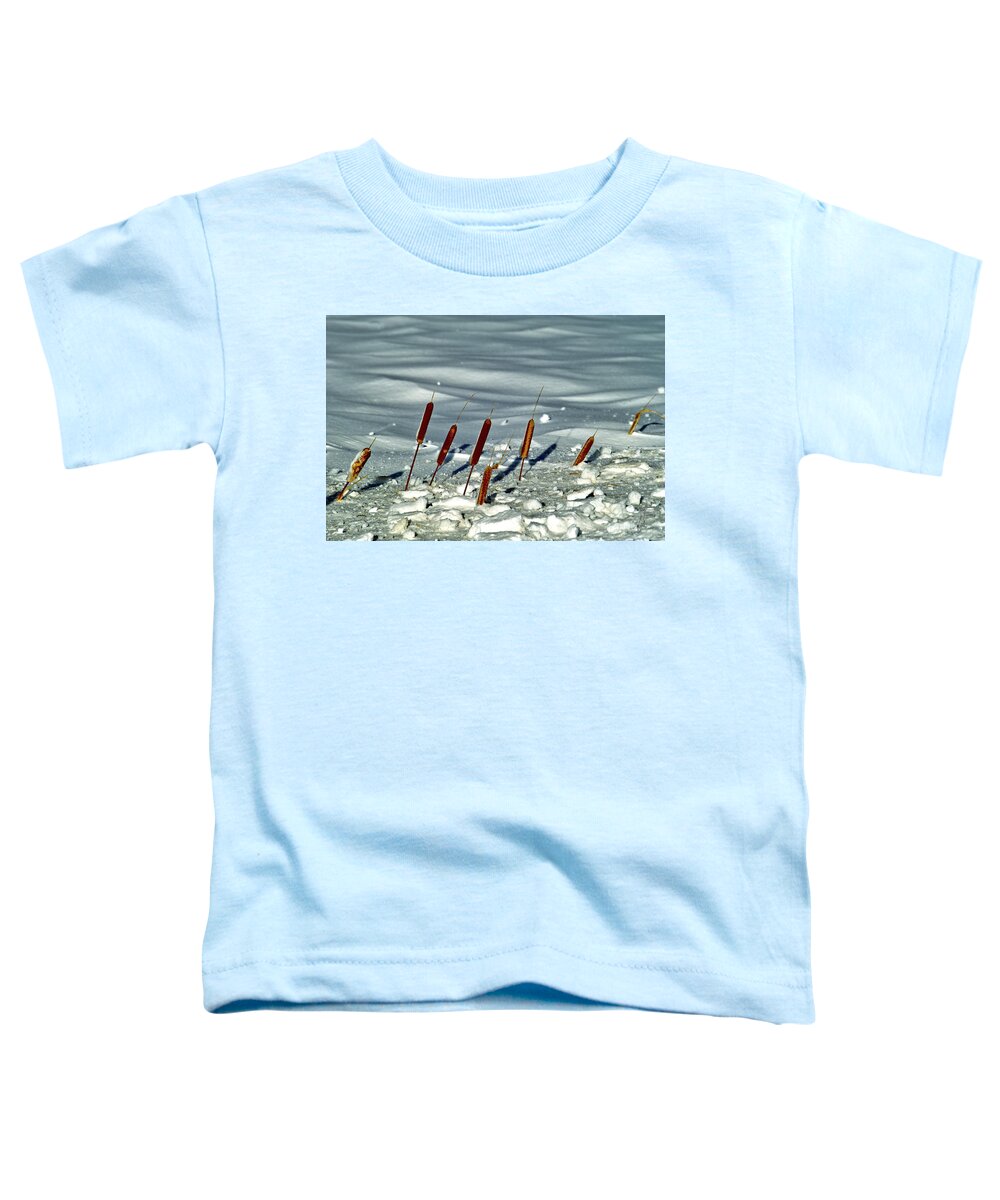 Cattails Toddler T-Shirt featuring the photograph Cattails in the Snow II by Theresa Fairchild