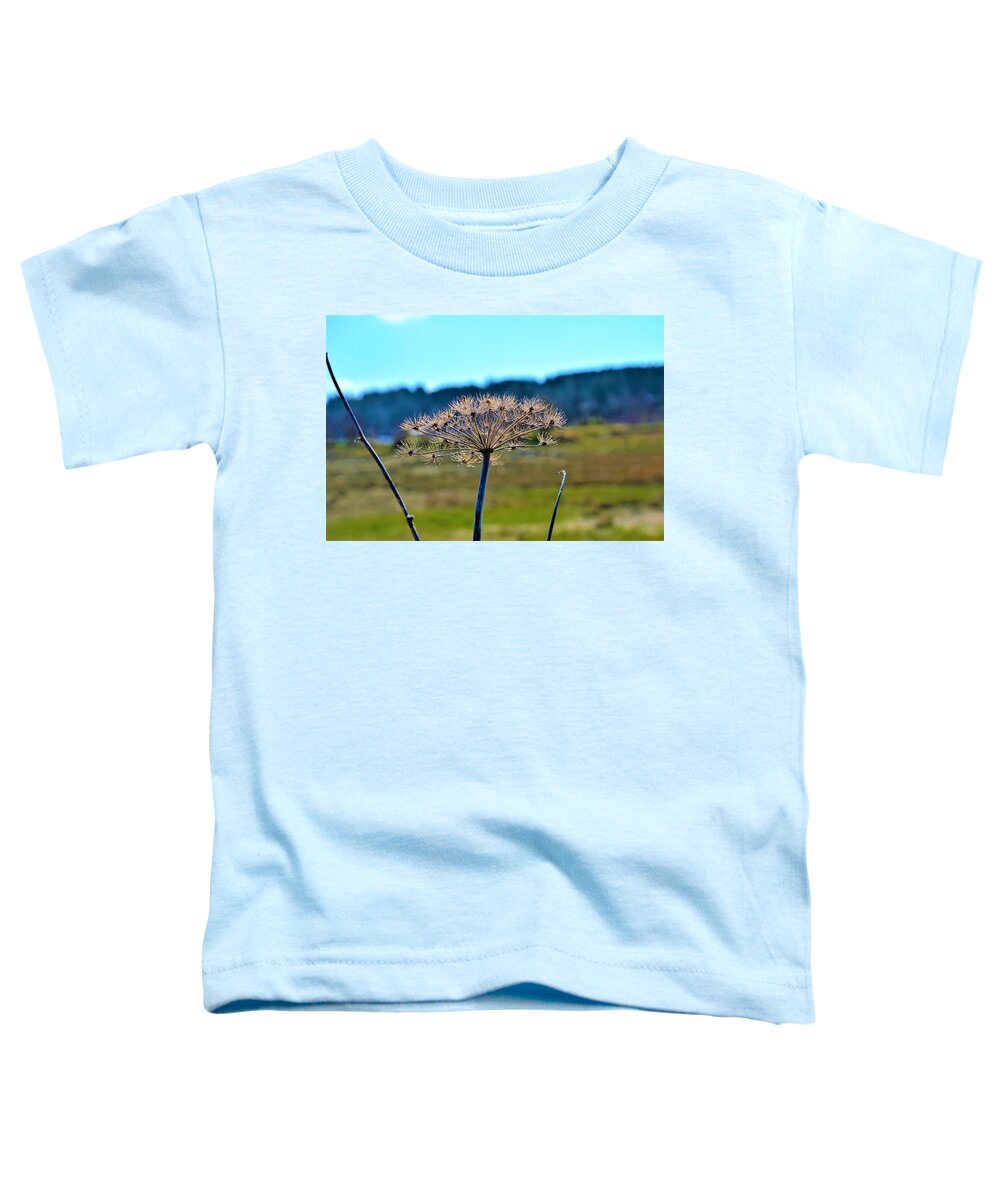 Spring Toddler T-Shirt featuring the photograph Coning to Life in Spring by James Cousineau