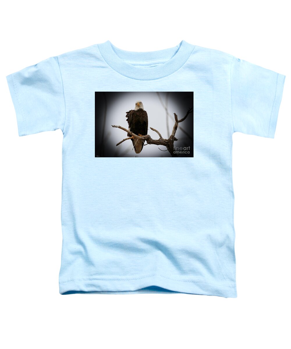 Eagles Toddler T-Shirt featuring the photograph Contemplating by Veronica Batterson