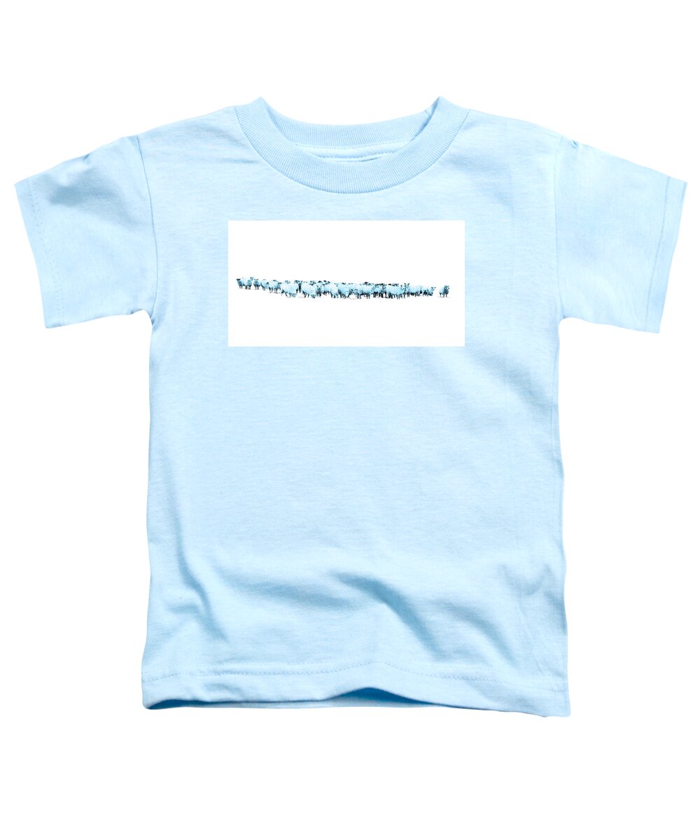 Sheep Toddler T-Shirt featuring the photograph Counting Blue Sheep for Boys Room by Andrea Kollo