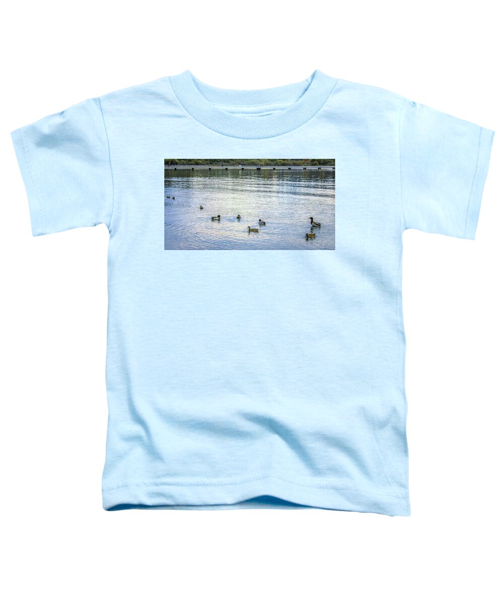 Animals Toddler T-Shirt featuring the photograph Ducks on the lake by Anamar Pictures