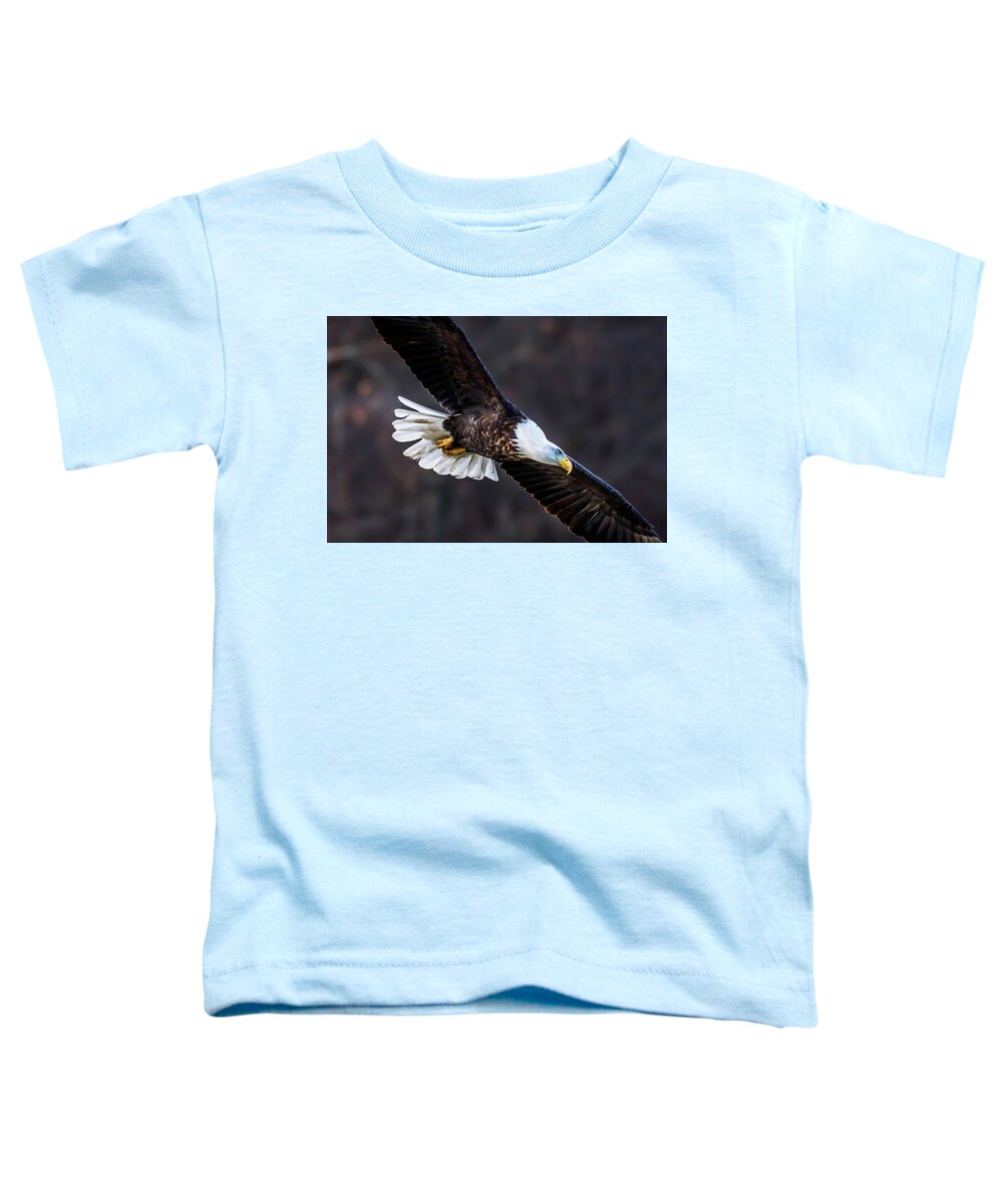 Eagle Toddler T-Shirt featuring the photograph Eagles Soar by David Wagenblatt