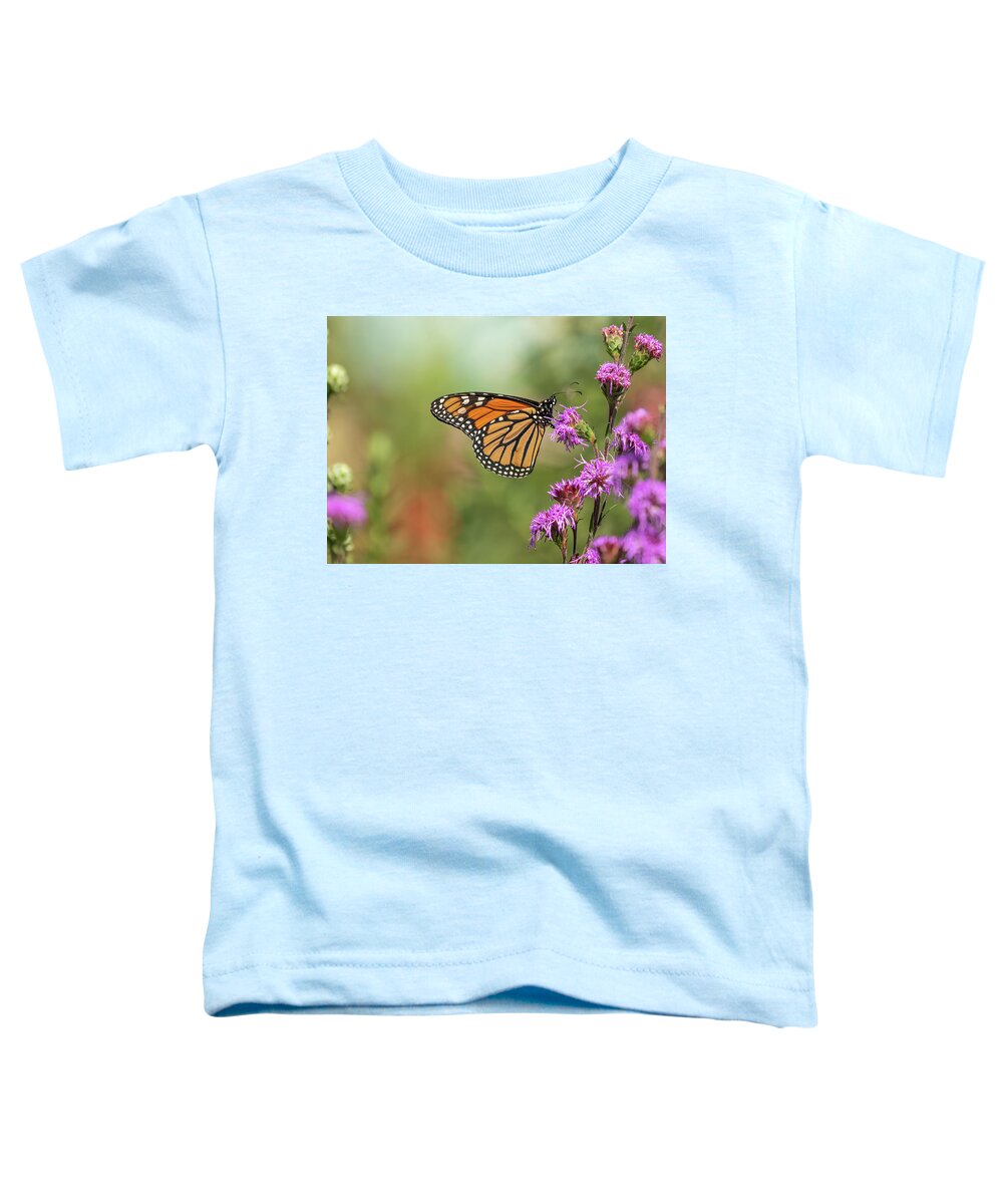 Monarch Butterfly Toddler T-Shirt featuring the photograph Fall Monarch 2016-10 by Thomas Young