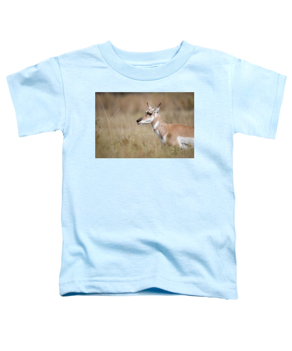 Montana Toddler T-Shirt featuring the photograph Female Pronghorn by Constance Puttkemery