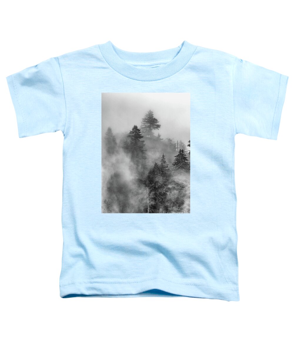 Woods Toddler T-Shirt featuring the photograph Fog's Rolling by Nicki McManus