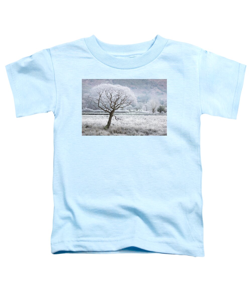 Frost Laced Tree Toddler T-Shirt featuring the photograph Frost laced tree, winter's morning, Borrowdale, Lake District by Anita Nicholson